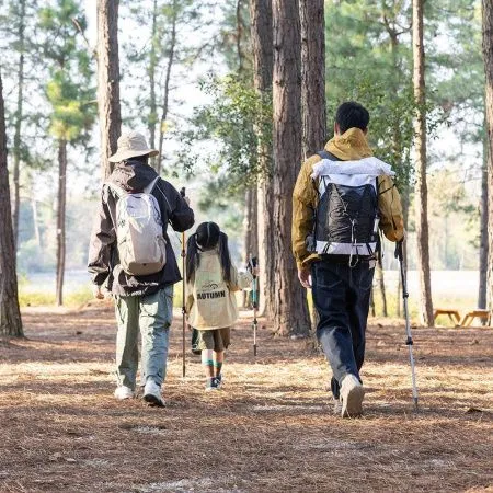 Палка Треккинговая Naturehike ST01 6061 AL NH17D001-Z с 3 узлами женская 57-120 золотой Палка Треккинговая Naturehike ST01 6061 AL NH17D001-Z с 3 узлами женская 57-120 золотой