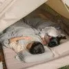 Вкладыш (спальный мешок) Naturehike Size Large Ultralight Хлопок Milk Green, 6927595776971 Вкладыш (спальный мешок) Naturehike Size Large Ultralight Хлопок Milk Green, 6927595776971