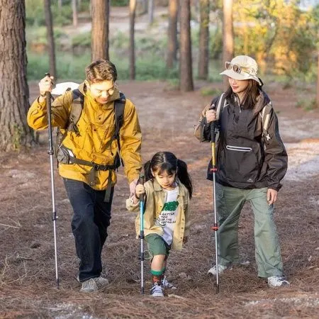 Треккинговая палка Naturehike ST 01 6061 (3-секции) NH17D001-Z (62-135cm) зелёный Треккинговая палка Naturehike ST 01 6061 (3-секции) NH17D001-Z (62-135cm) зелёный