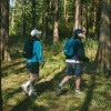 Рюкзак Naturehike NH17A017-B 30л компактный ультралегкий синий